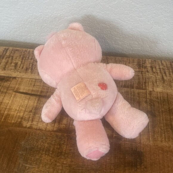 Care Bears Baby CHEER Bear 9" Musical Plush Stuffed Animal Toy Sings The ABC’s - Picture 4 of 9